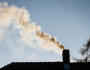Miniatura: Reforma UE ws. emisji CO2 przyjęta. Pomimo...