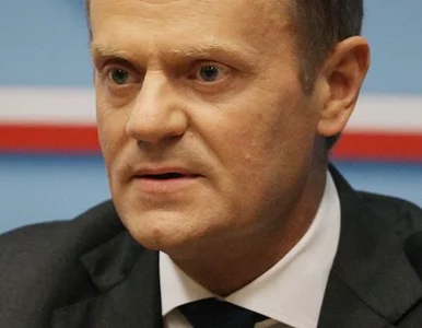 Miniatura: Tusk: Polacy pozytywnie zwariowali