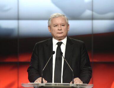 Kaczyński: Pani premier nierzadko nam pomaga