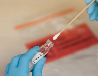 Miniatura: Ekspert: Test antygenowy wykrywa białko...
