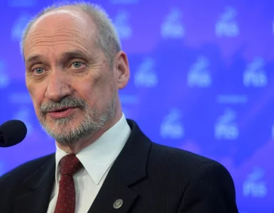 Miniatura: PO: Macierewicz wmawia Polakom, że toczymy...