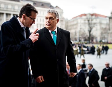 Miniatura: Premier Morawiecki gratuluje Orbanowi....