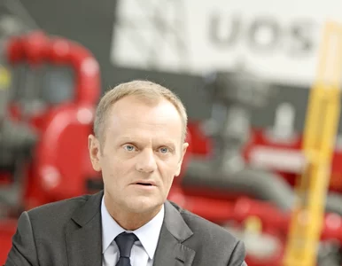 Miniatura: Tusk: Polska może stać się rajem...