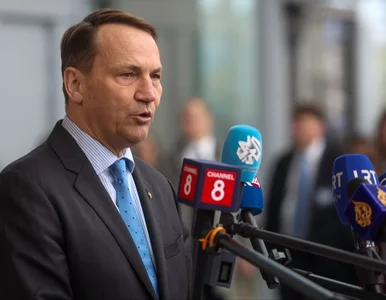 Miniatura: NATO wyśle misję do Ukrainy. Sikorski: Nie...