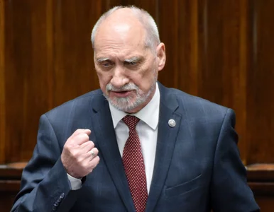 Miniatura: Antoni Macierewicz zdradził szczegół z...