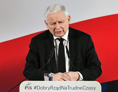 Miniatura: Jarosław Kaczyński szczerze o projekcie...