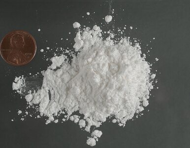 Miniatura: Szarmancki sprzedawca kokainy