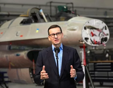 Miniatura: Morawiecki: Konia z rzędem temu, kto...