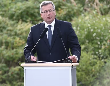 Miniatura: Sojusznicy pomogą Polsce? Komorowski:...