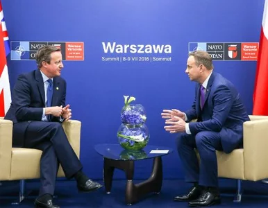 Miniatura: David Cameron zareagował na ataki...