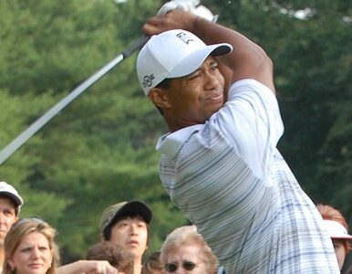 Miniatura: Marka "Tiger Woods" warta 55 milionów dolarów