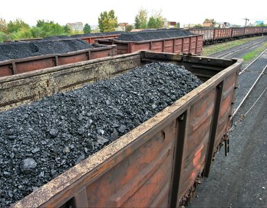 Miniatura: Premier mówi o embargo na rosyjski węgiel....