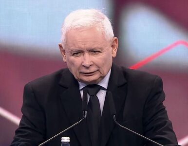 Miniatura: Kongres Samorządowy Trójmorza. Kaczyński:...