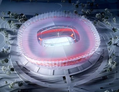 Miniatura: Budowa Stadionu Narodowego "narusza prawa...