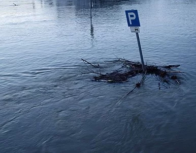 Miniatura: PJN przeciw wykorzystywaniu klęsk w kampanii