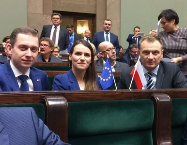 Miniatura: PO z własnymi flagami w Sejmie. "My się...