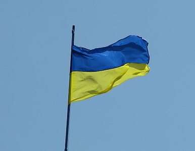 Miniatura: Ukraina: rozpoczął się proces bohatera...