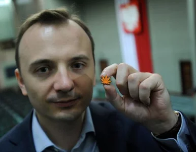 Miniatura: Platforma znalazła następcę Gibały