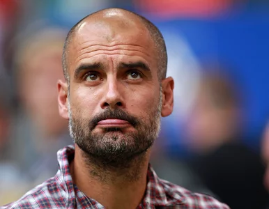 Miniatura: "Bild": Guardiola zakochał się w Lewandowskim