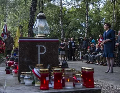 Miniatura: Znów gwizdy na Powązkach? Według części...