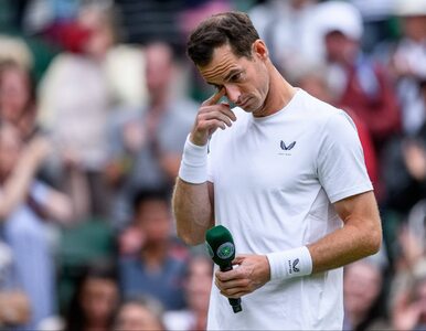 Miniatura: Andy Murray przegrał z bólem i wygrał nowe...