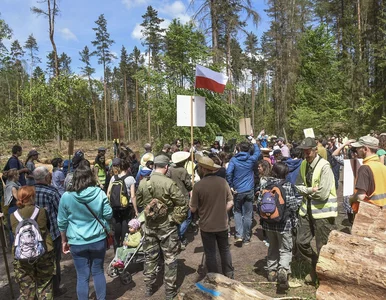 Miniatura: Dramatyczne nagrania z Puszczy...