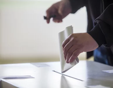 Miniatura: "Referendum może być jak Ice Bucket...