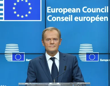 Miniatura: Donald Tusk wróci do polskiej polityki?...