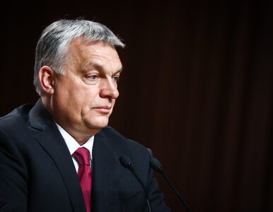 Miniatura: Fidesz Orbana opuszcza EPL Tuska. Powodem...