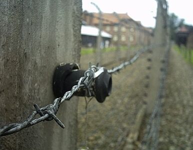 Miniatura: Szwecja uczciła ofiary Holokaustu