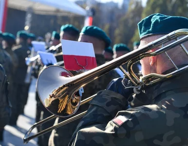 Miniatura: Narodowe Święto Niepodległości. Plan...