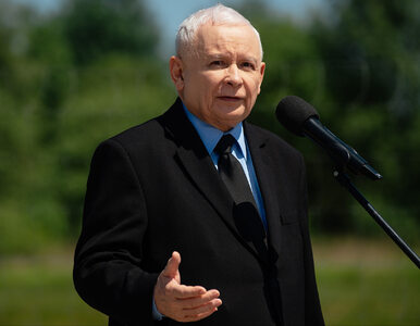 Miniatura: Kaczyński sugeruje, że Sejm „nie...