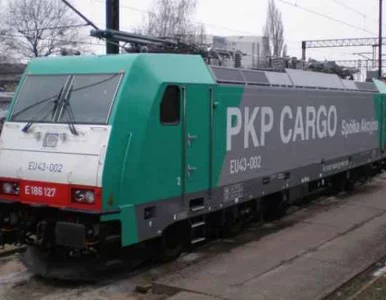 Miniatura: Co dalej z PKP Cargo? PO chce sprzedawać,...