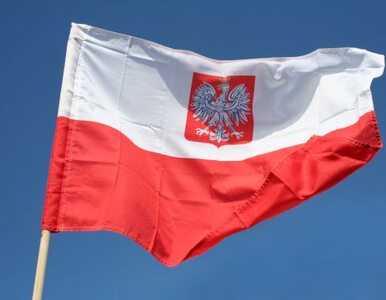 Miniatura: Klich: spalenie polskiej flagi w...