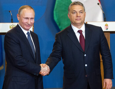 Miniatura: Co Orbán widzi w oczach Putina? To...