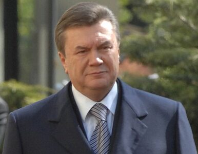 Miniatura: Janukowycz prezydentem, wzywa Tymoszenko...
