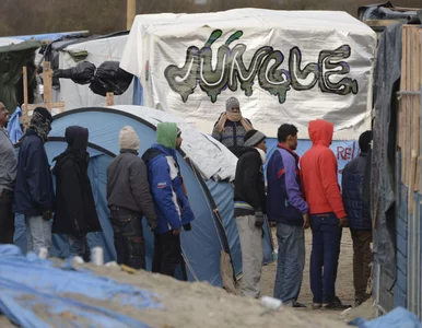 Miniatura: Grupa Wyszehradzka solidarna przeciwko...