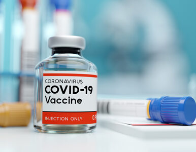 Miniatura: Wiemy, kiedy ruszą szczepienia przeciwko...
