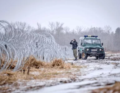 Miniatura: Kolejne incydenty na granicy...