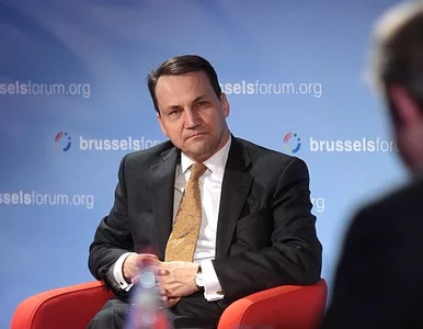 Miniatura: Sikorski: UE potrzebuje lidera. Połączmy...