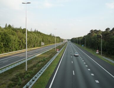 Były minister: autostrady w Polsce są drogie, bo mamy marsz politologów