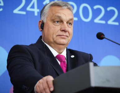Miniatura: Węgry adwokatem Putina w Europie? Orban...