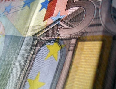 Miniatura: Polska rada dla państw strefy euro:...