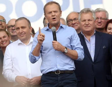 Miniatura: Tusk ruga KO: Opozycja powinna być...