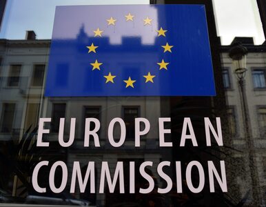 Miniatura: Komisja Europejska ukarała kartel...