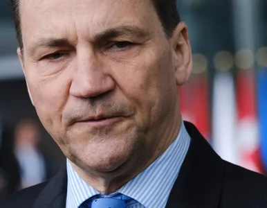 Miniatura: Sikorski reaguje na ruch Węgier ws....