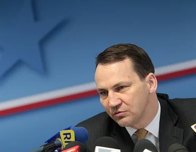 Miniatura: Sikorski: dziękuję za polską telewizję w...