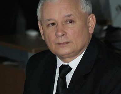 Miniatura: Kaczyński kontra Palikot - sąd proponuje...