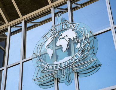 Prawnik ujawnia, jak reżim Łukaszenki wykorzystuje Interpol. „Aż trudno...