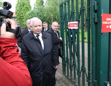 Miniatura: Sellin: Kaczyński będzie na konwencji...